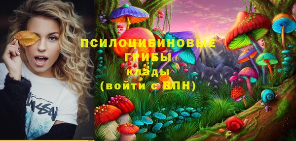 СК Касимов