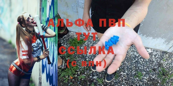 СК Касимов