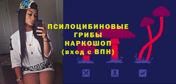 стаф Карталы
