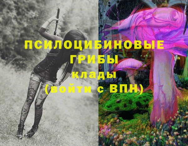 мескалин Каменск-Шахтинский