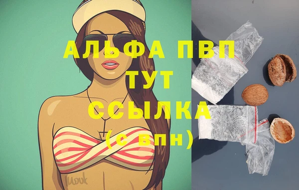 стаф Карталы