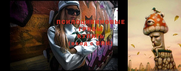 стаф Карталы