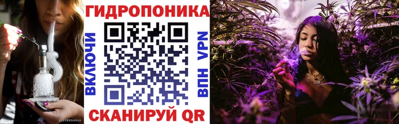 Купить Горно-Алтайск Бошки Шишки семена